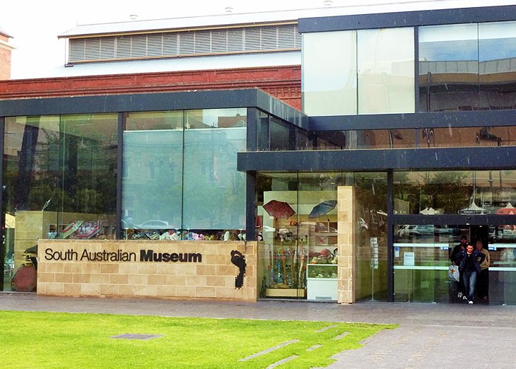 Musée d'Australie du Sud