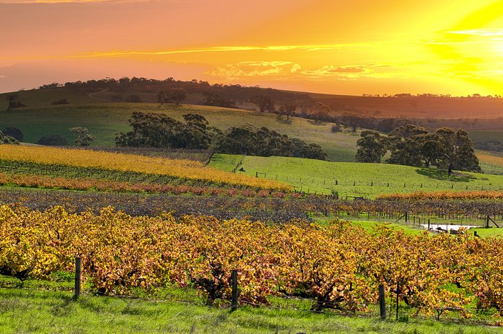 barossa valley tourist attractions