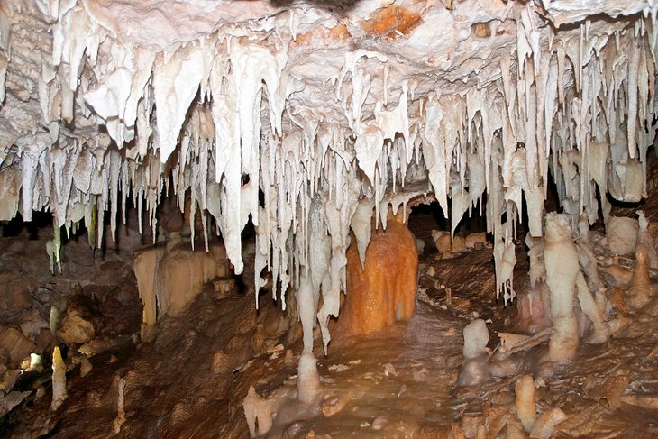 Kelly Hill Conservation Park: Cave Tour
