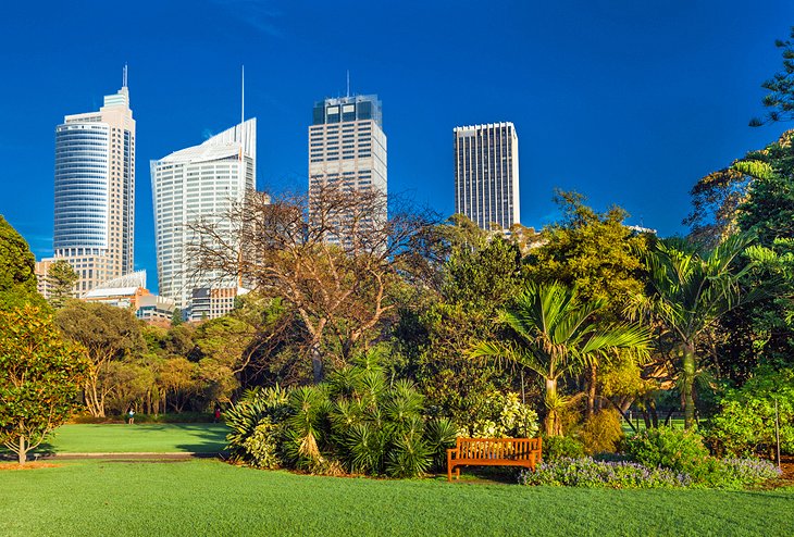 The Royal Botanic Garden Sydney