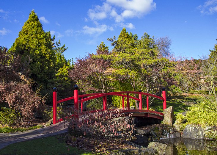 Royal Tasmanian Botanical Gardens