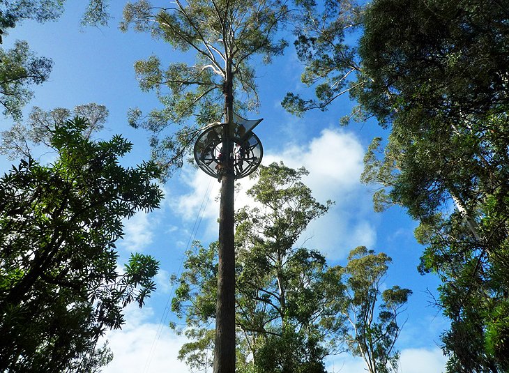 Canopy tour cloud station