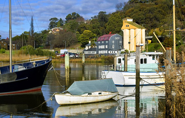 Launceston boats and Ritchie's Mill near Royal Park