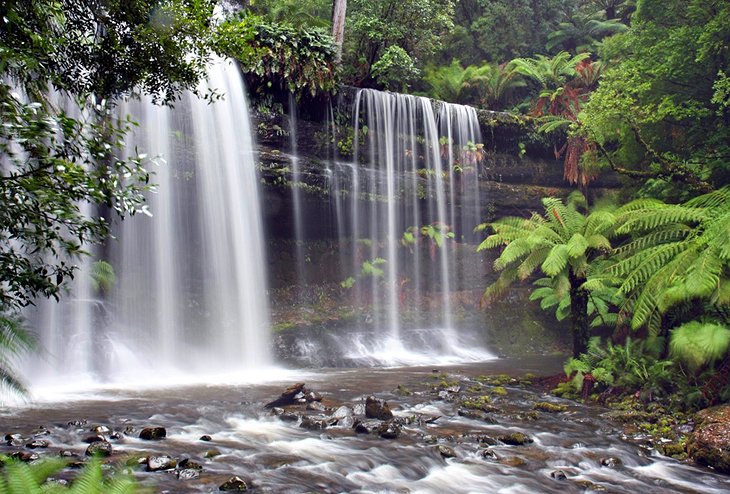 Mount Field National Park