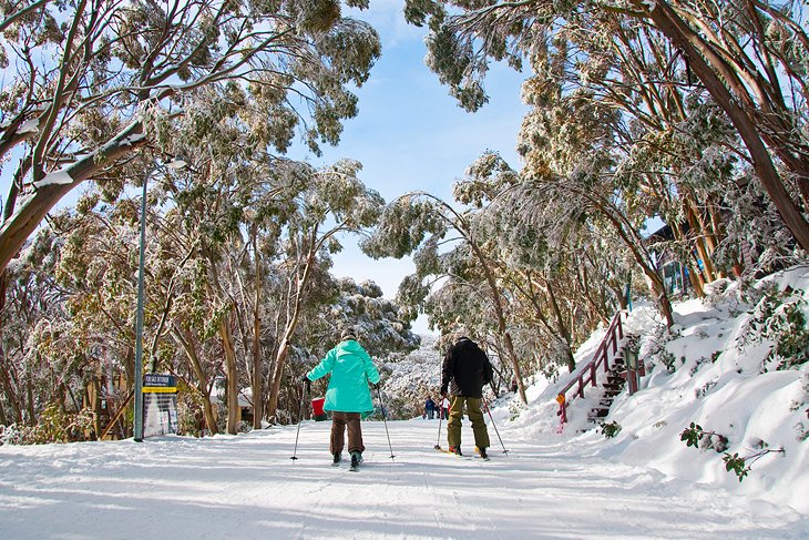 10 estaciones de esquí mejor calificadas en Australia
