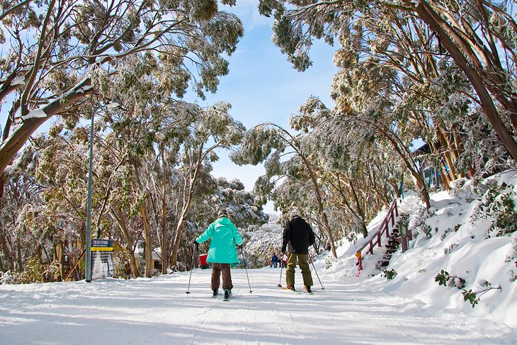 Mt. Baw Baw Alpine Resort, Baw Baw National Park, Victoria