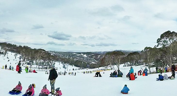 Selwyn Snowfields, Kosciuszko National Park, NSW