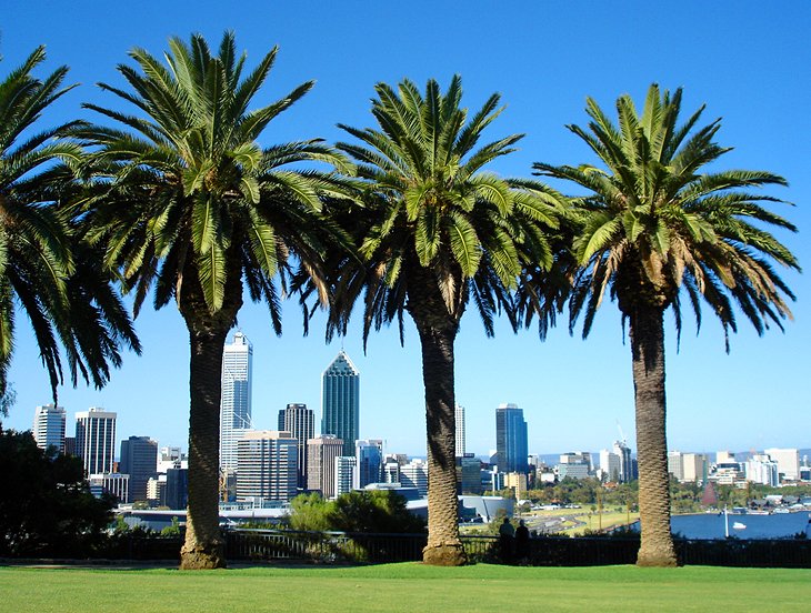 Kings Park and Botanic Garden