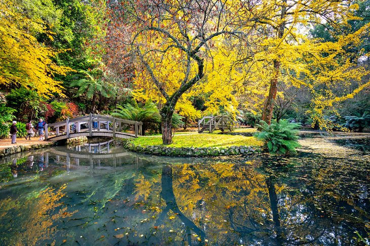 Alfred Nicholas Gardens