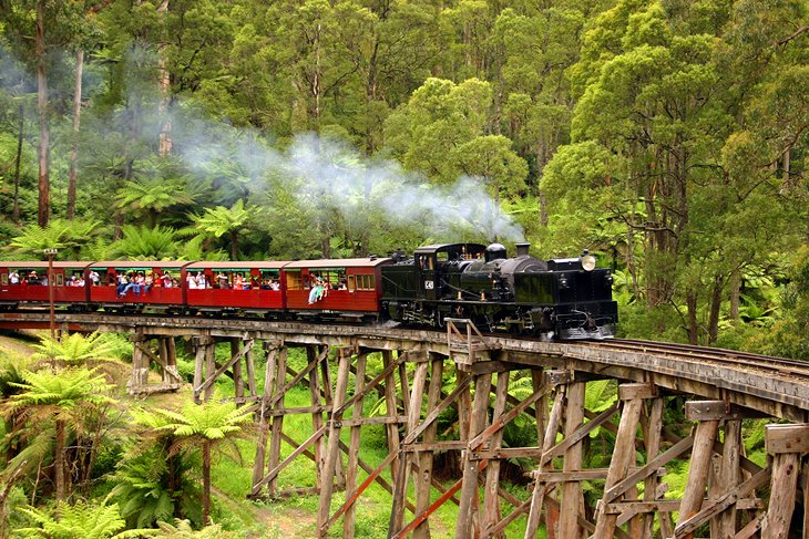 Puffing Billy Steam Train