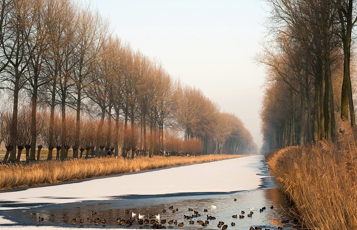 Schipdonkkanaal