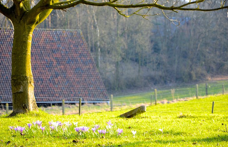 Countryside near Rixensart