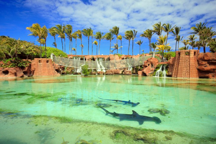 cool tourist attractions in the bahamas