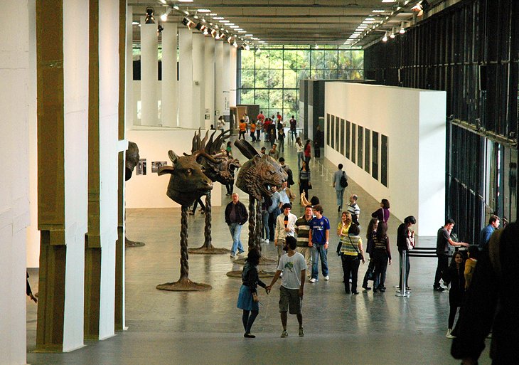 Museu de Arte Contemporânea (Musée d'art contemporain)