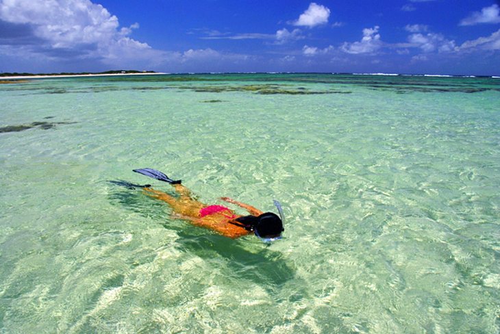 Snorkeling at Anegada Island