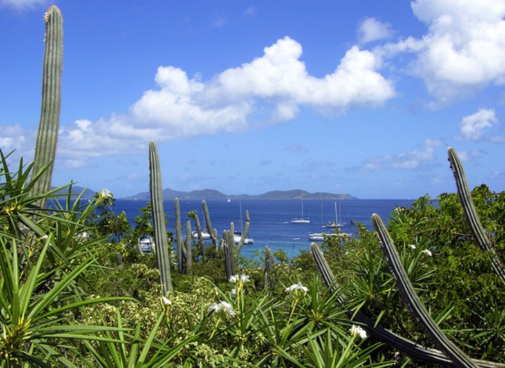 Gorda Peak National Park