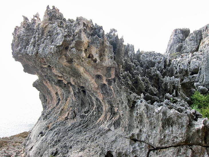La côte escarpée de Cayman Brac