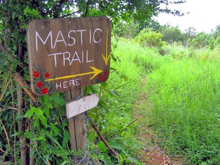 Réserve et Sentier de Mastic