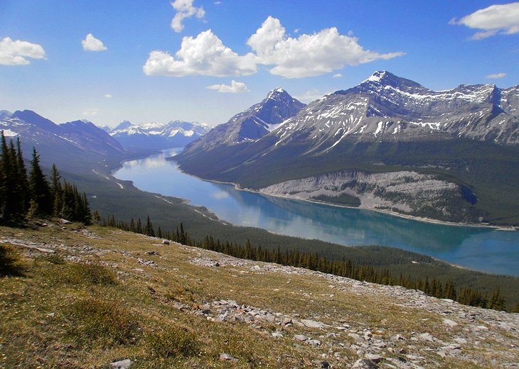 15 atracciones turísticas mejor calificadas en Alberta