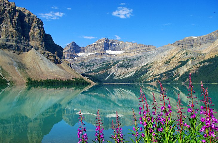 Bow Lake