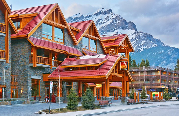 Photo Source: Moose Hotel & Suites