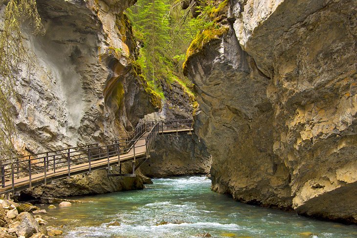 Johnston Canyon