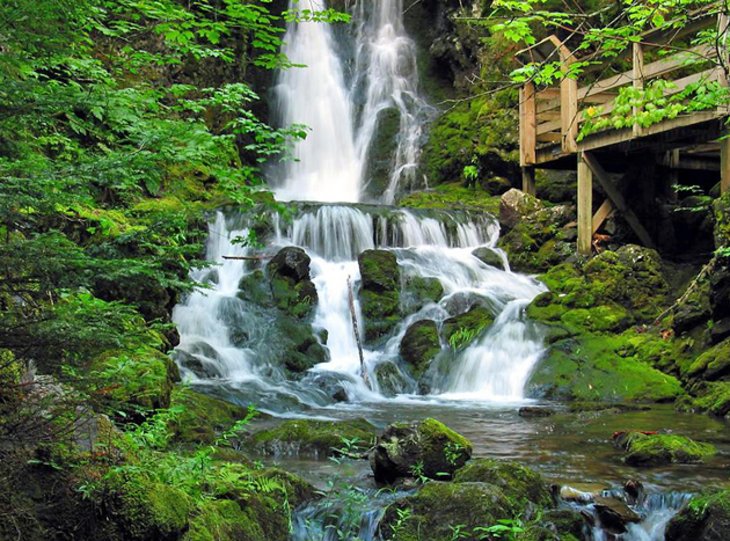 Fotos de Fundy National Park: Ver fotos e Imágenes de Fundy National Park