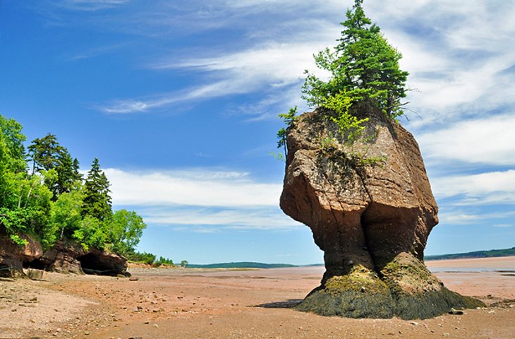 Caves and coastal features at low tide on the Bay of Fundy, near