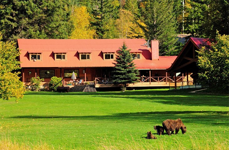 Photo Source: Tweedsmuir Park Lodge