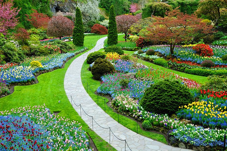 Butchart Gardens