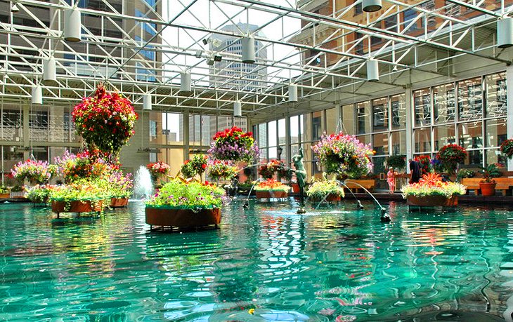 What are Fun Things to Do in Calgary