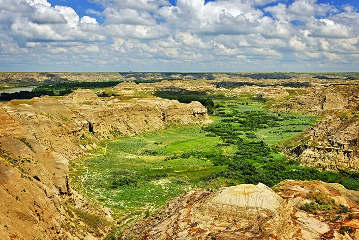 Dinosaur Provincial Park