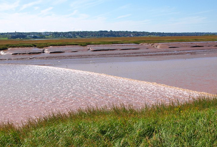 Bay of Fundy Tidal Flow