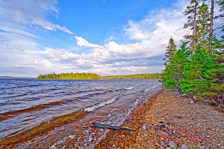 Terra Nova National Park