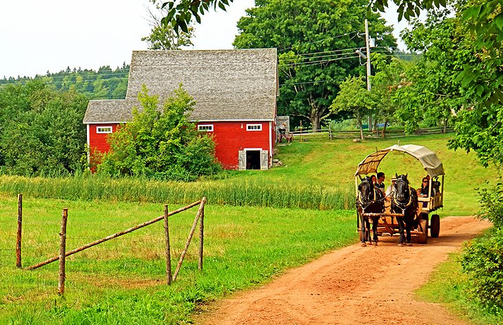 Ross Farm Museum