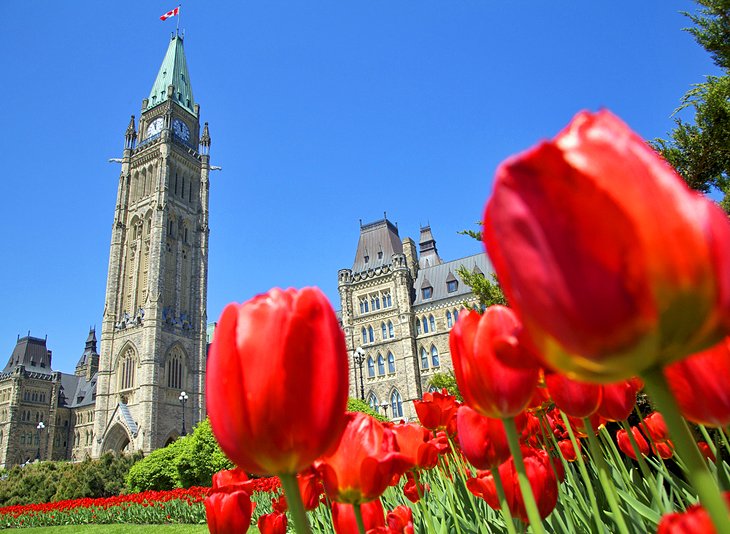 Canadian Tulip Festival