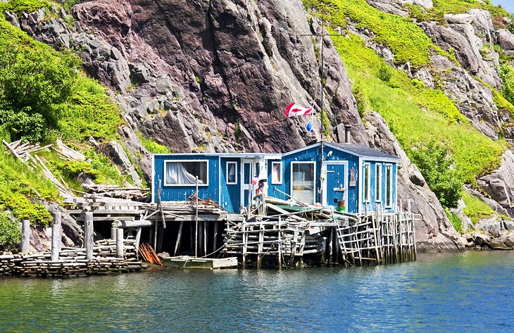 Quidi Vidi