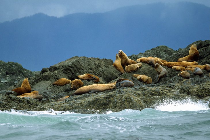 Clayoquot Sound