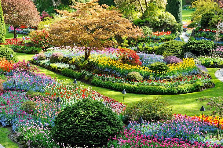 canada victoria butchart gardens