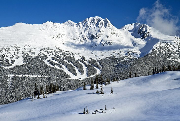 Whistler Blackcomb