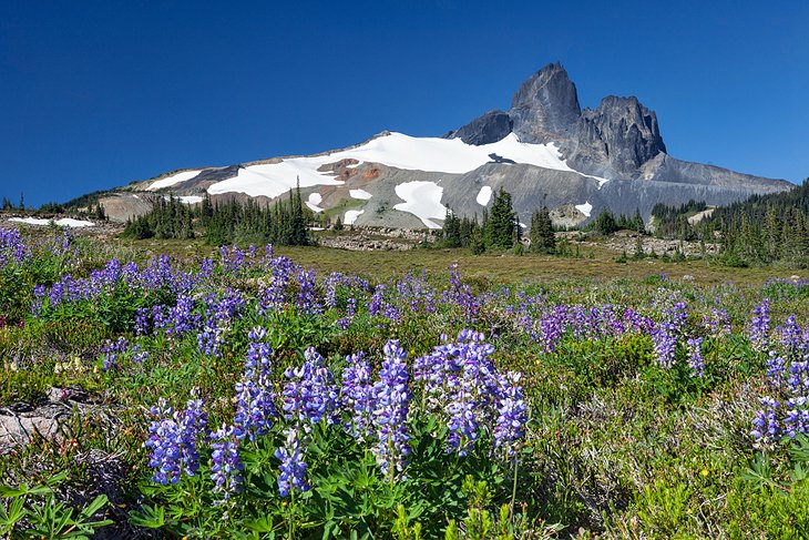 Garibaldi Provincial Park