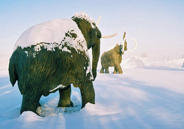 Yukon Beringia Interpretive Centre