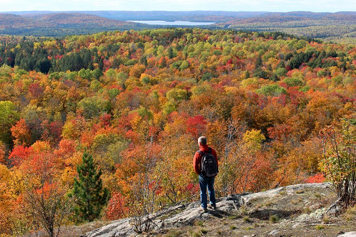 Image result for algonquin provincial park