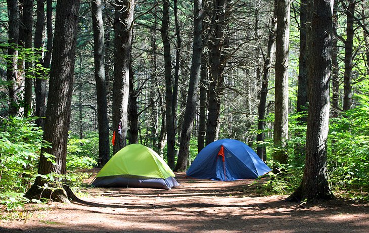 Kearney Lake Campground