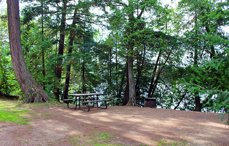 8 mejores campings en el Parque Provincial Algonquin