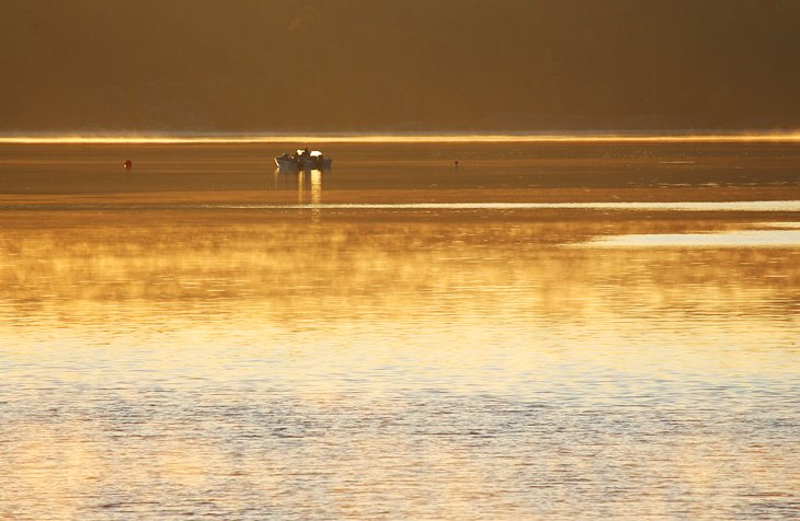 Early morning fishing, Temagami