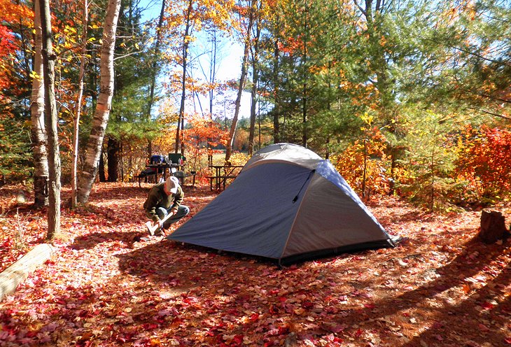 Campsite in George Lake, Section D