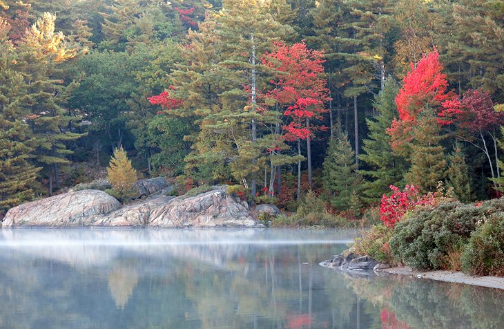 View in front of campsites in Section D