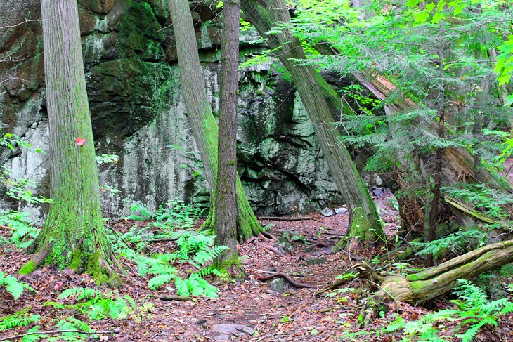 Lake of the Woods trail