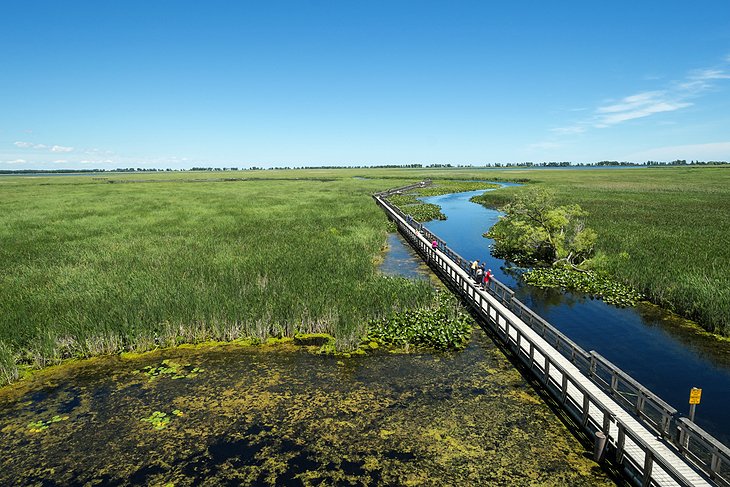 Point Pelee National Park